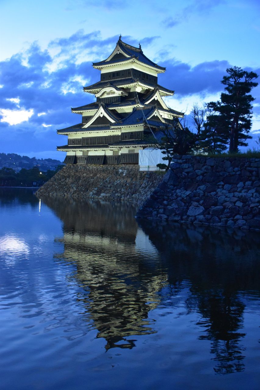 投稿の添付画像