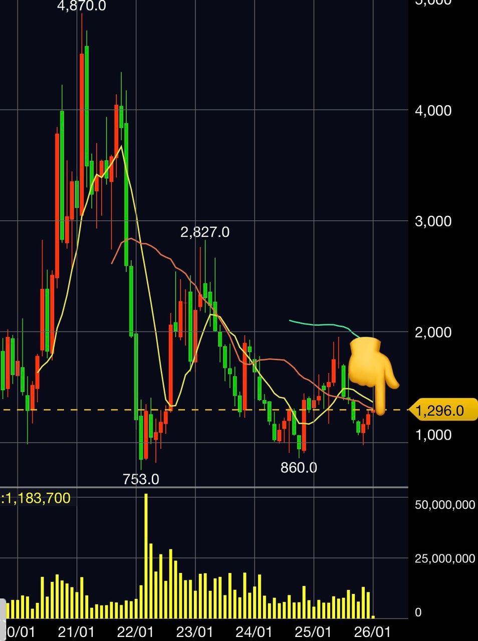 投稿の添付画像