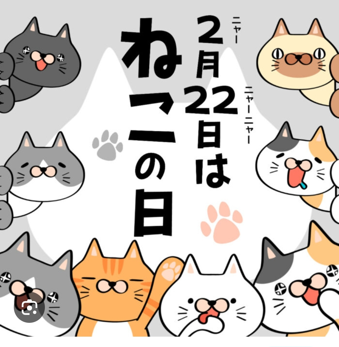 投稿の添付画像