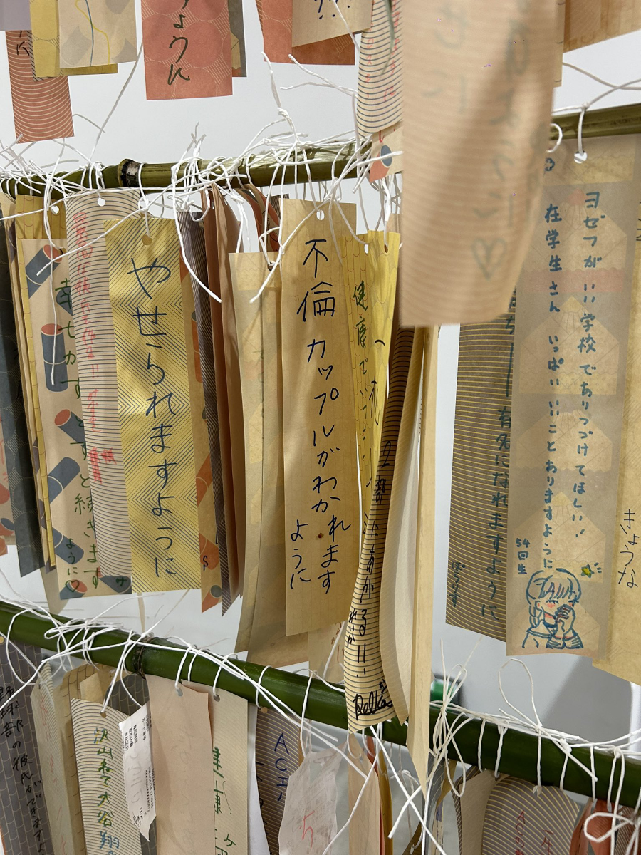 投稿の添付画像