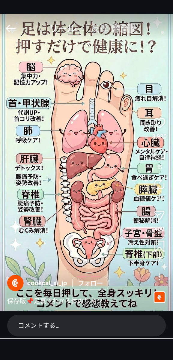 投稿の添付画像
