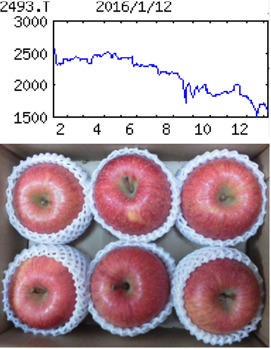 投稿の添付画像