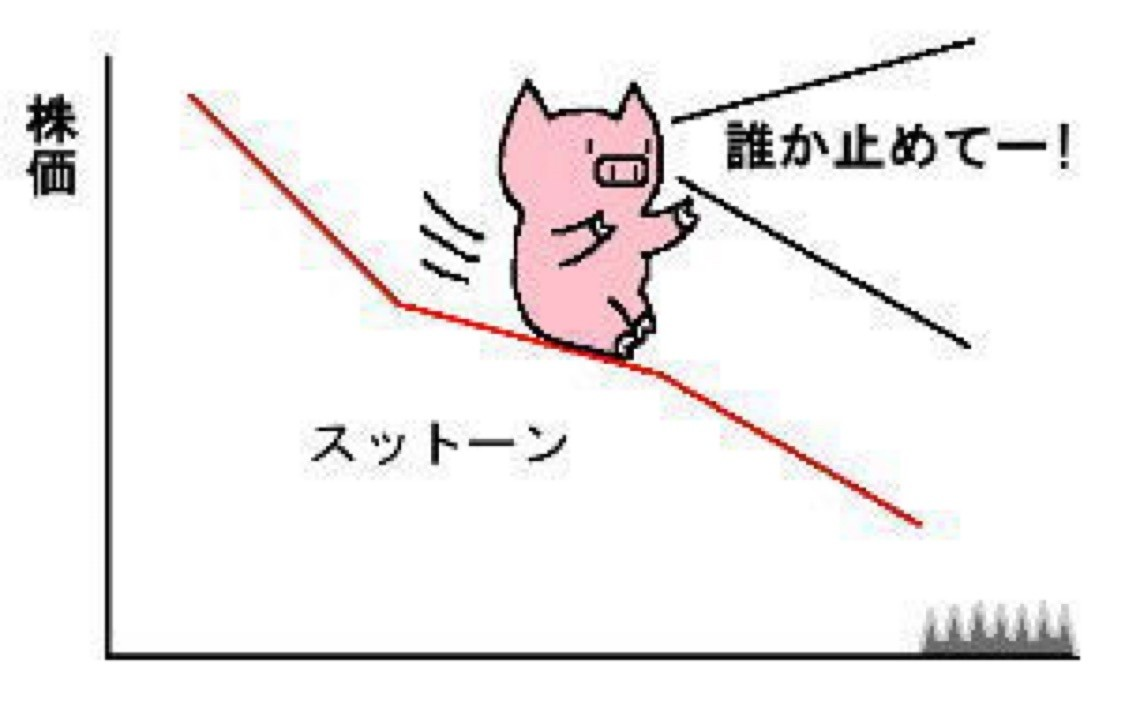 投稿の添付画像