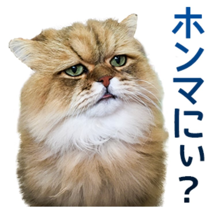 投稿の添付画像