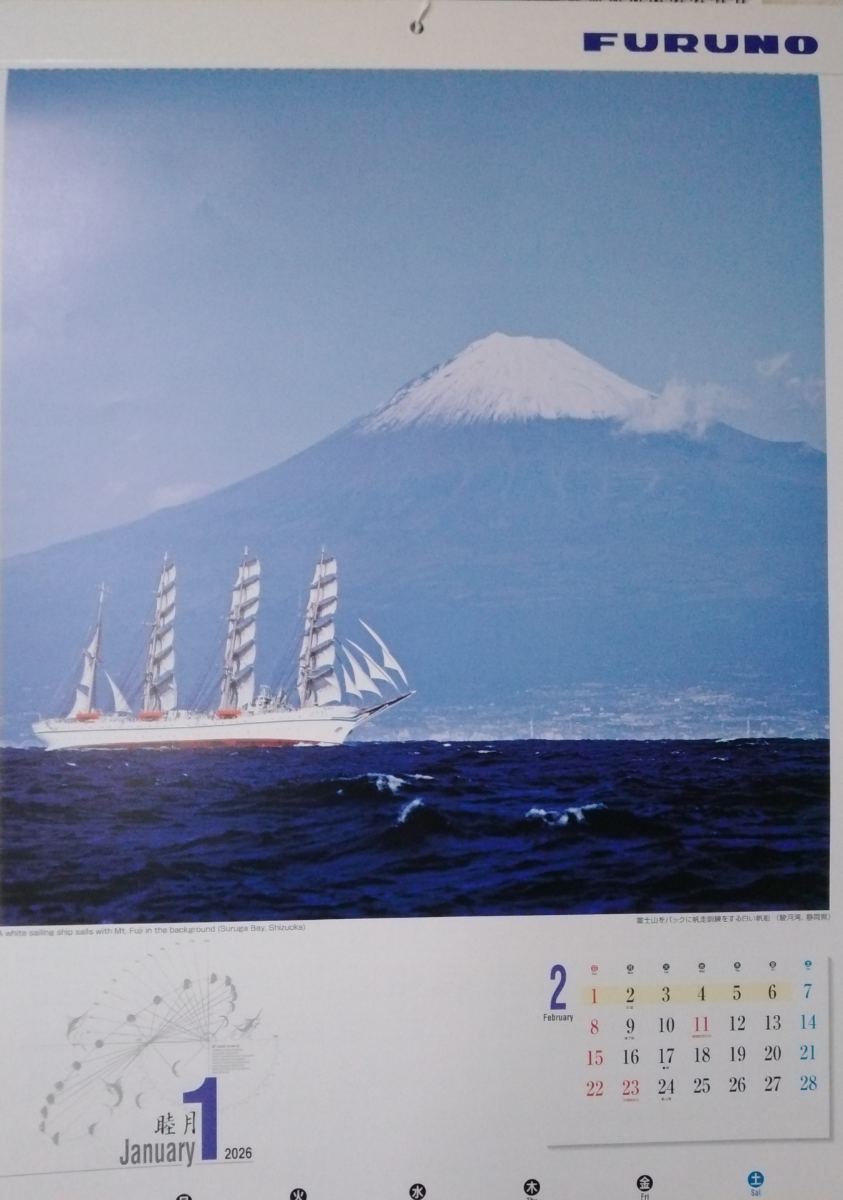 投稿の添付画像