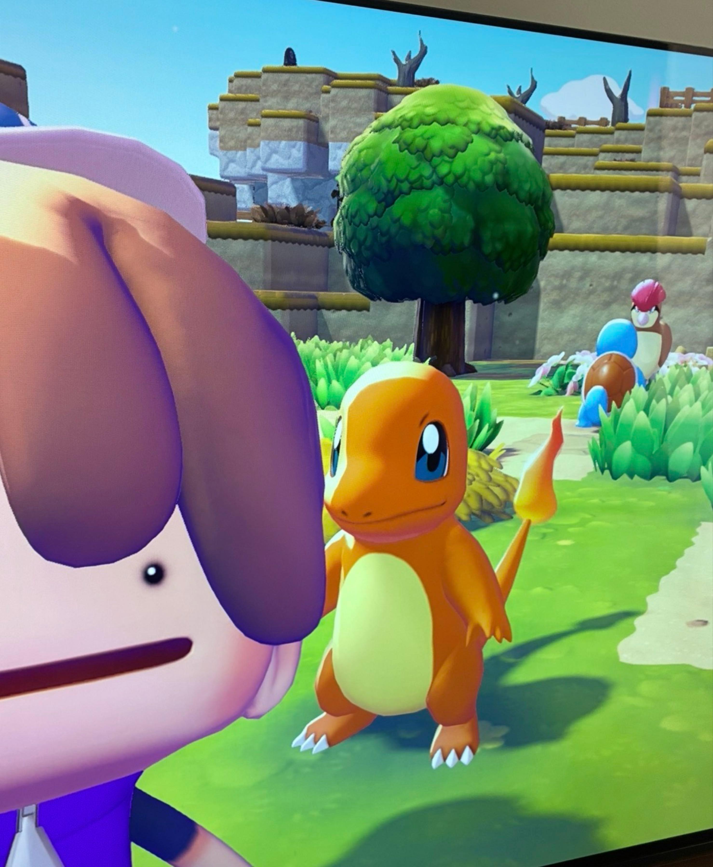 投稿の添付画像