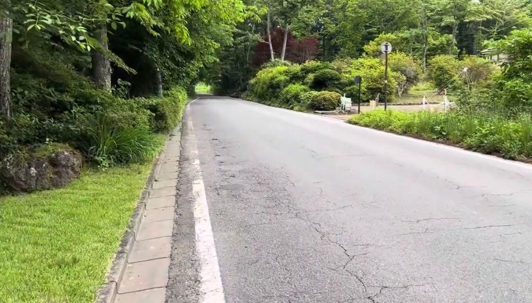 投稿の添付画像