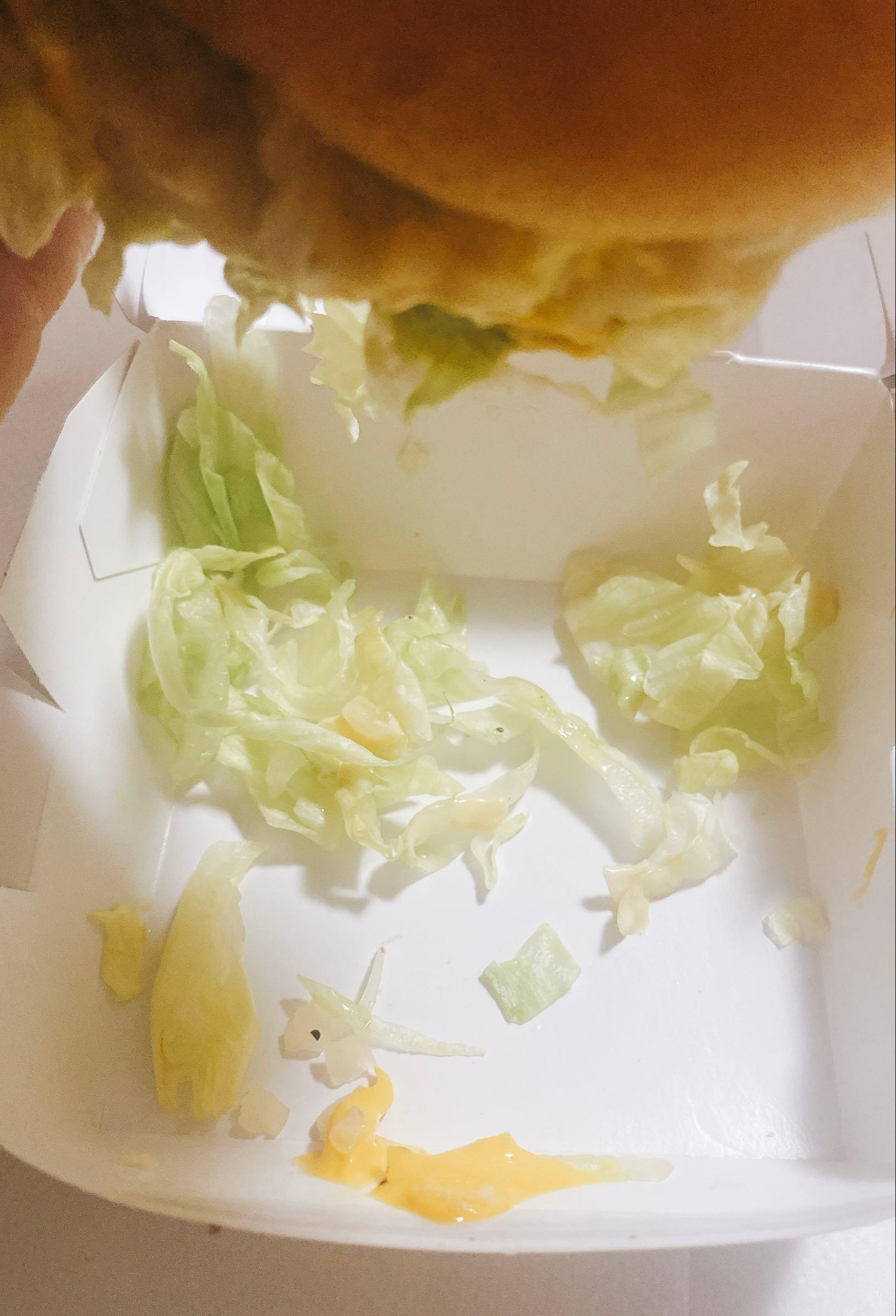 投稿の添付画像
