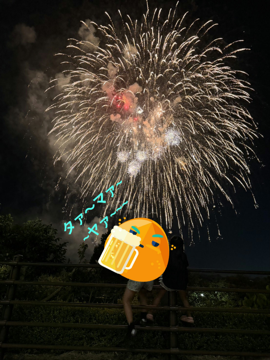投稿の添付画像