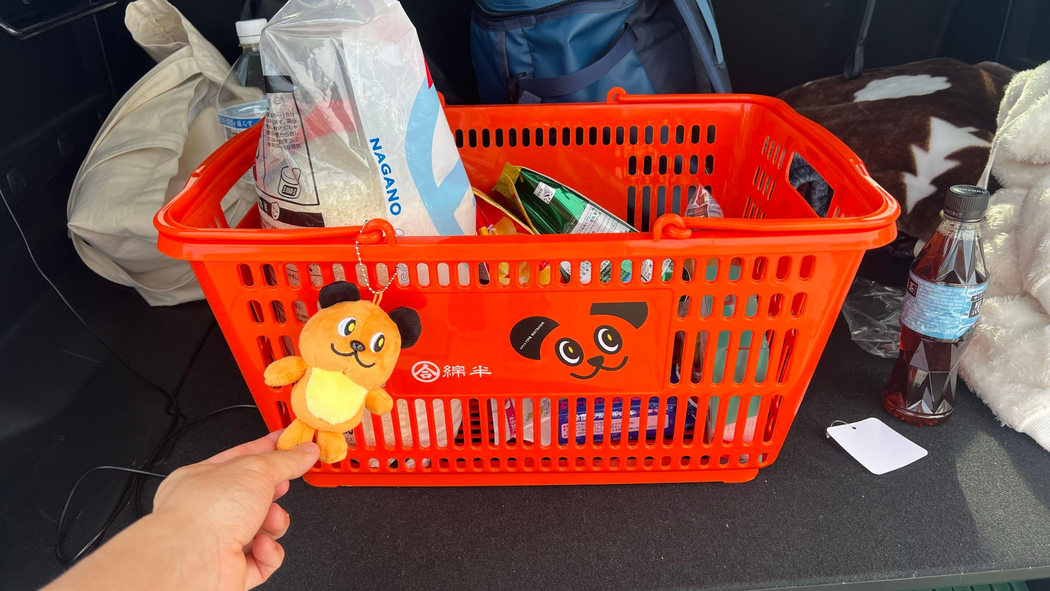 投稿の添付画像