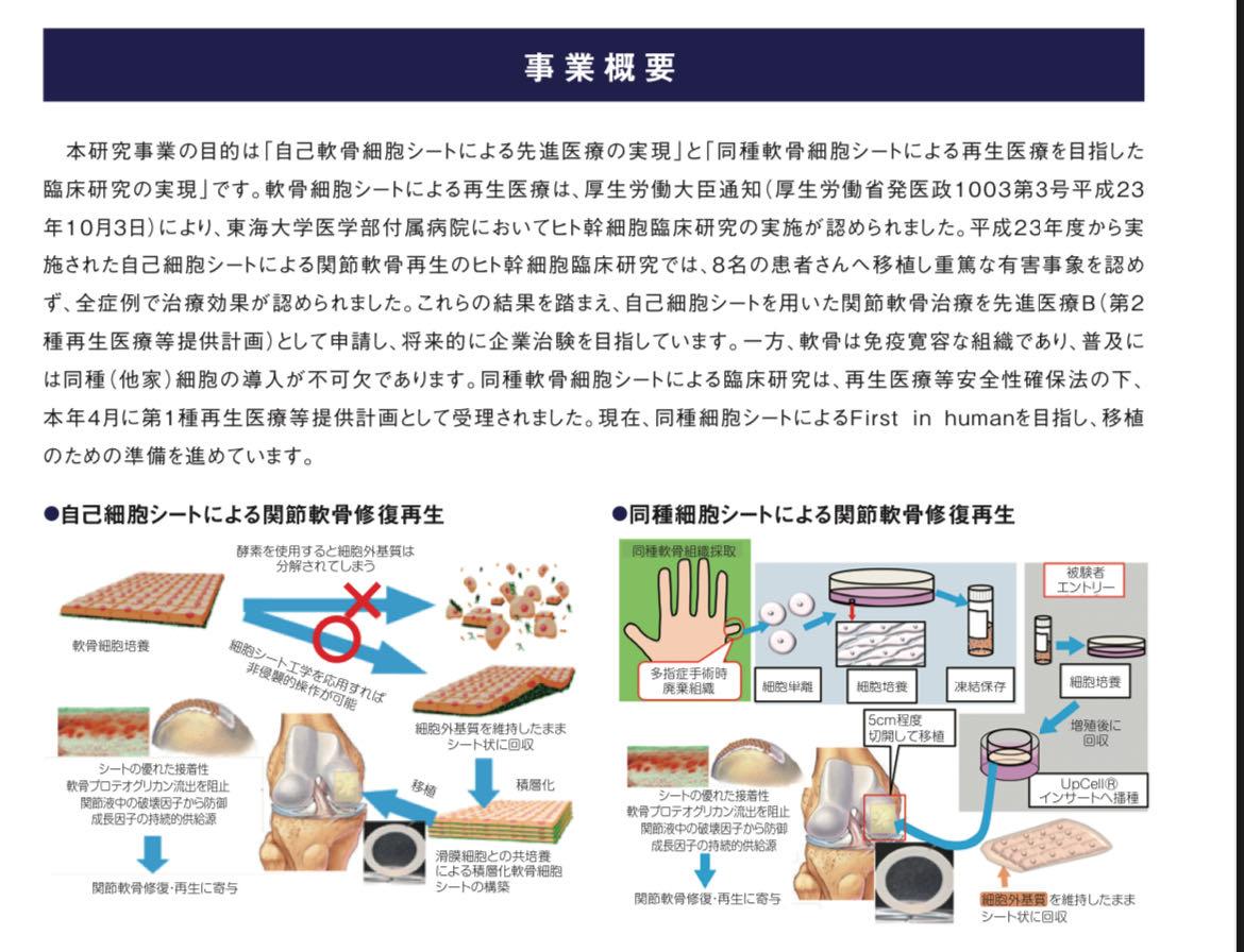 No.527285 軟骨 - (株)セルシード【7776】の掲示板 2024/08/03〜2024/08/05 - 株式掲示板 - Yahoo ...