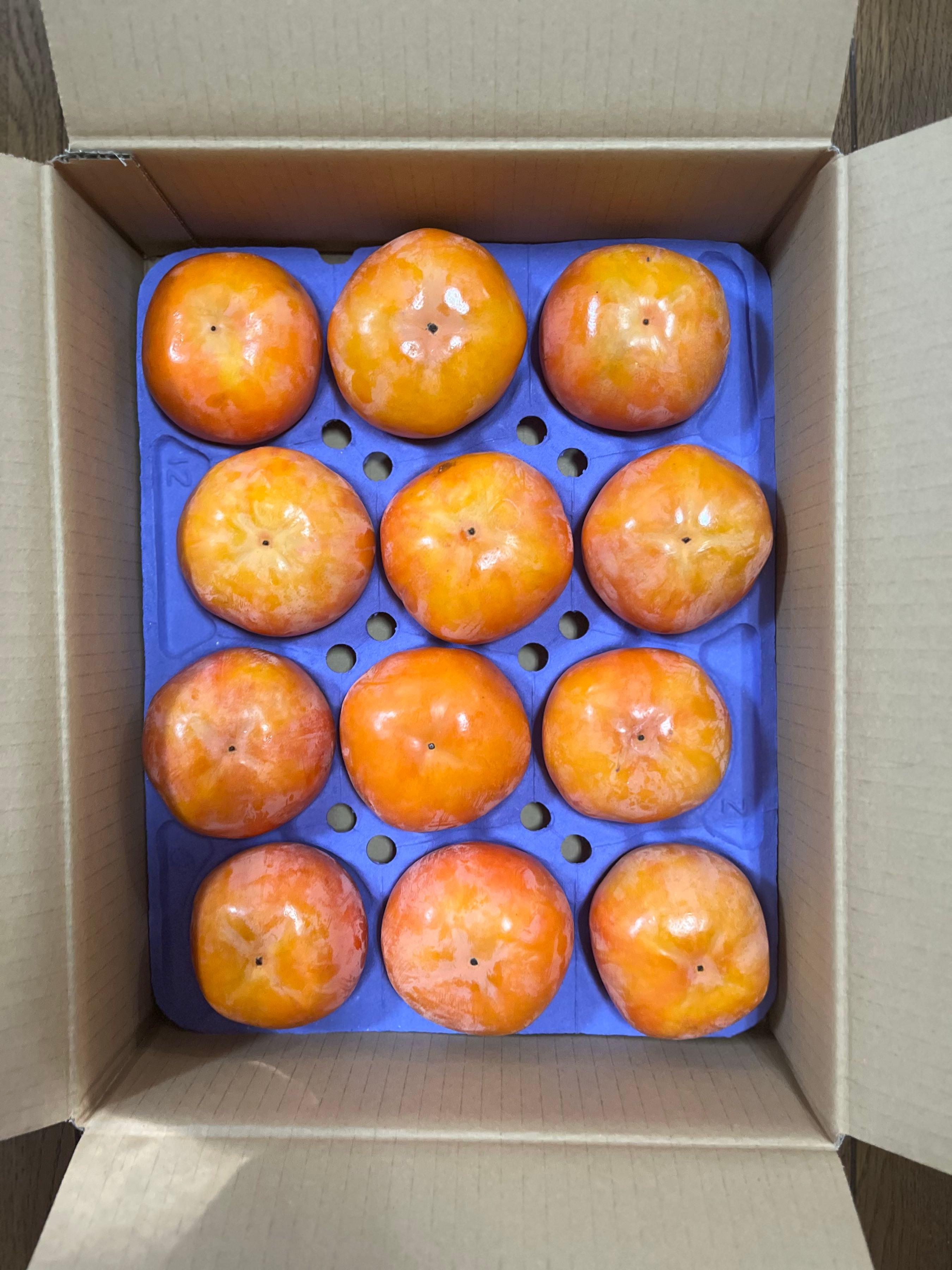 投稿の添付画像