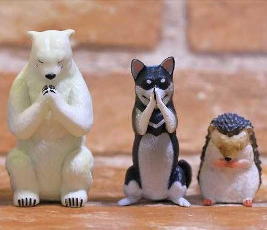 投稿の添付画像