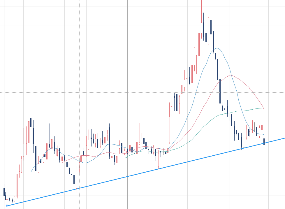 投稿の添付画像