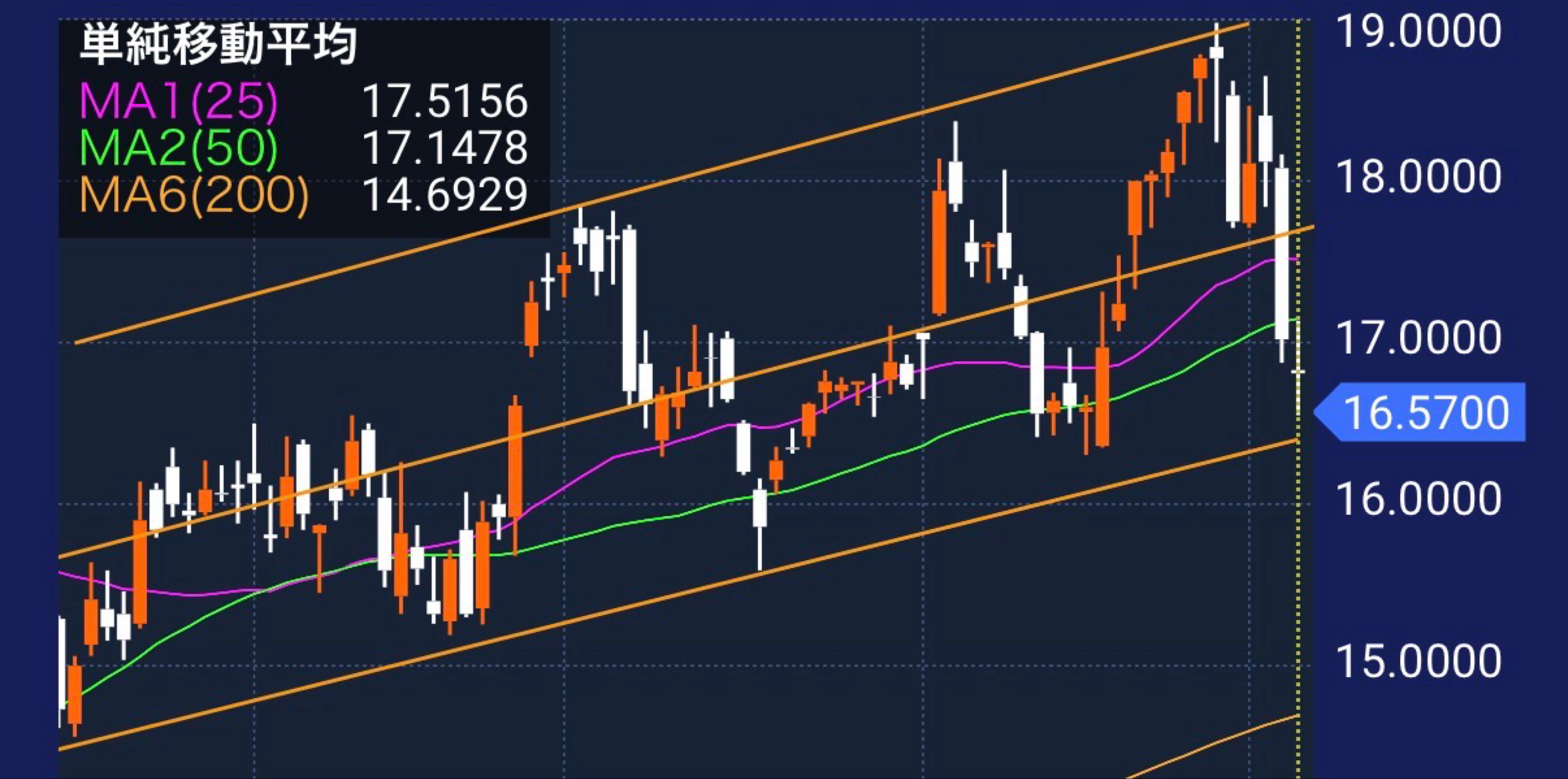 投稿の添付画像