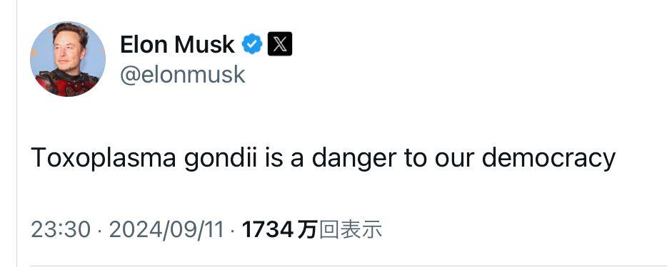 投稿の添付画像