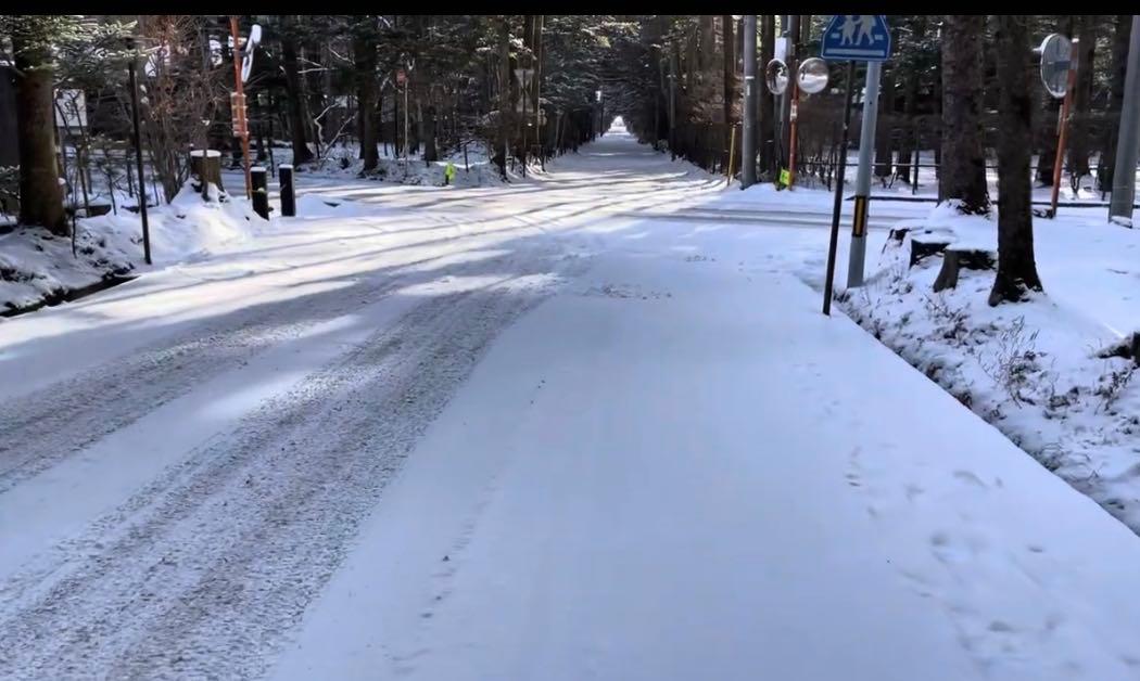 投稿の添付画像