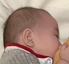 投稿の添付画像