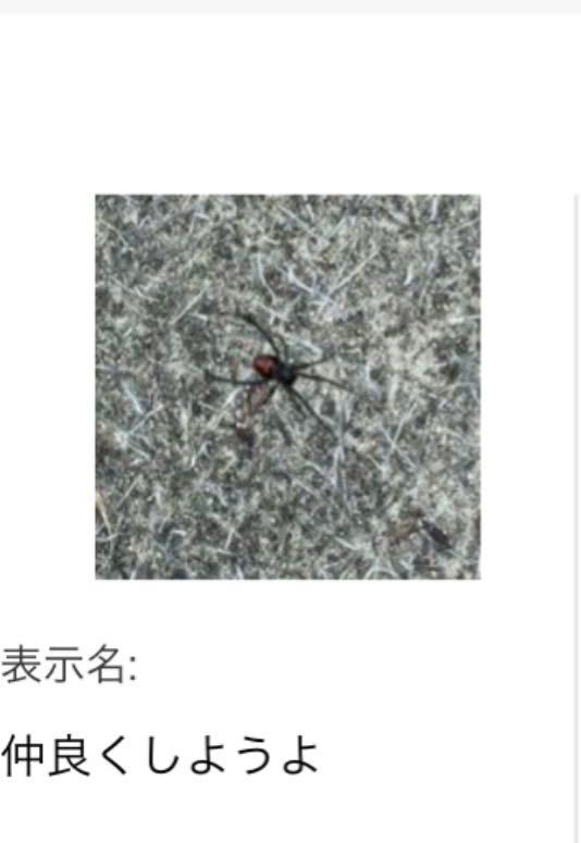 投稿の添付画像