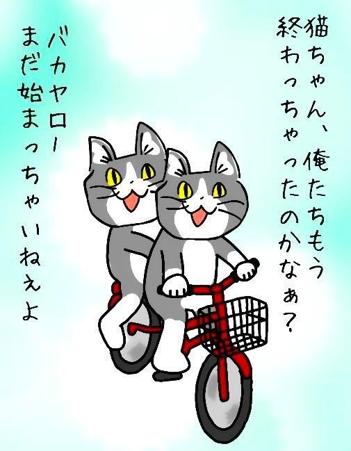 投稿の添付画像