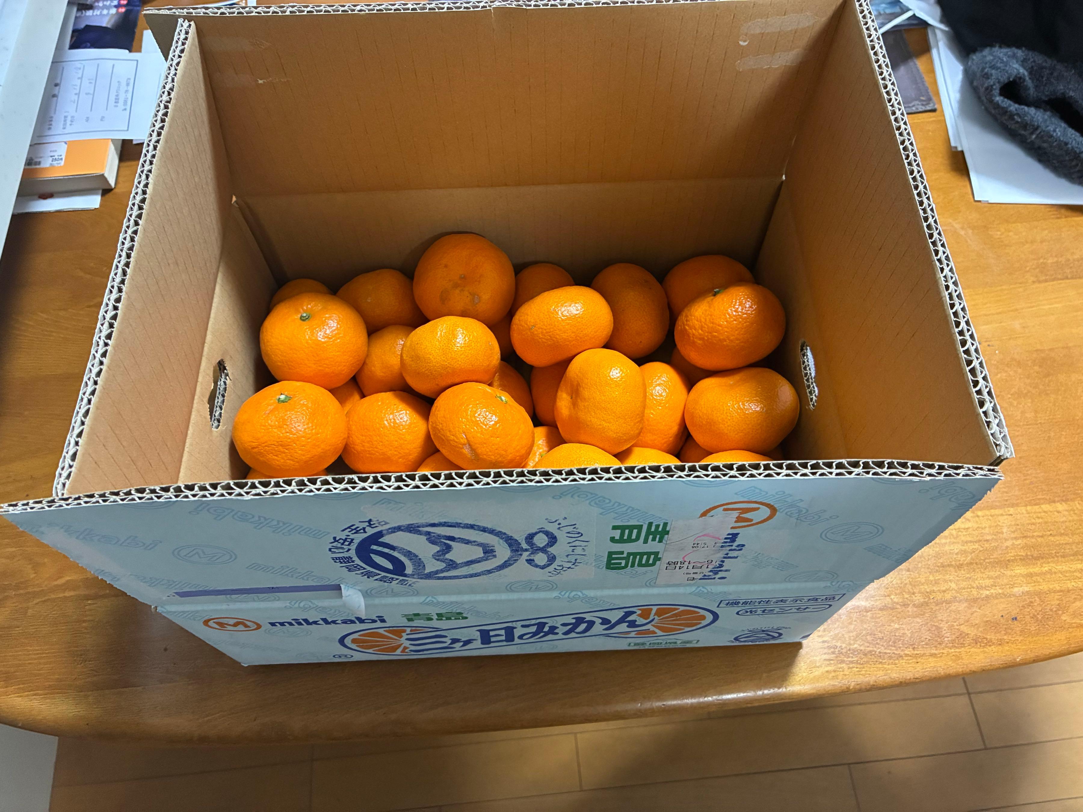 投稿の添付画像