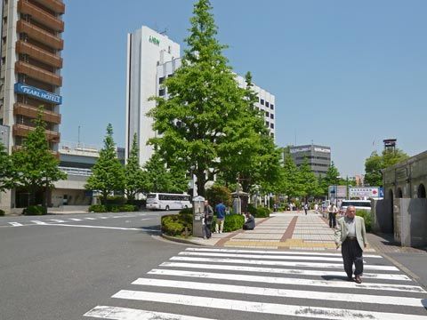 投稿の添付画像