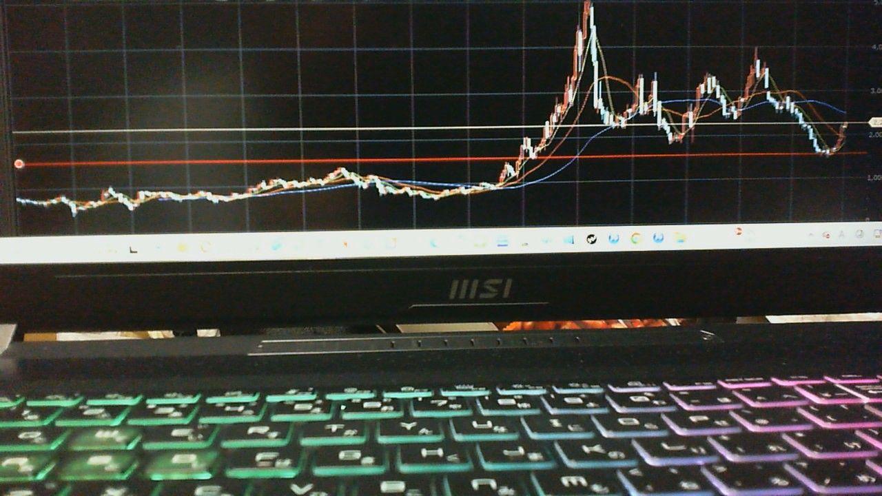 投稿の添付画像