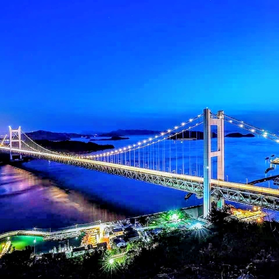 投稿の添付画像