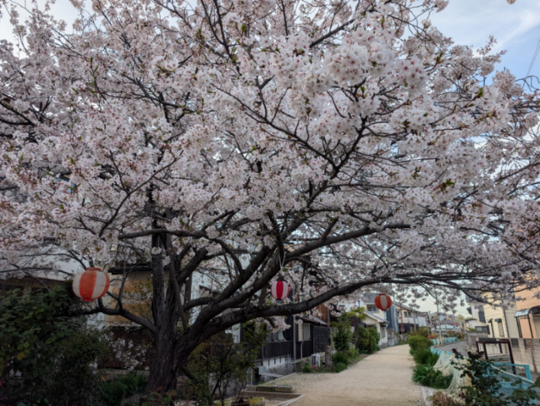 投稿の添付画像