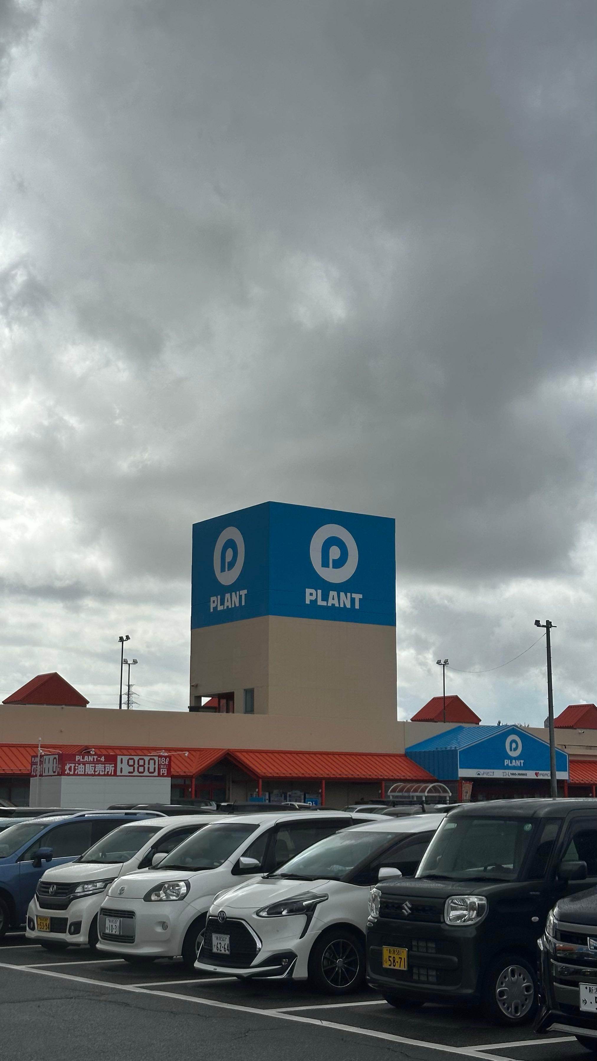 投稿の添付画像