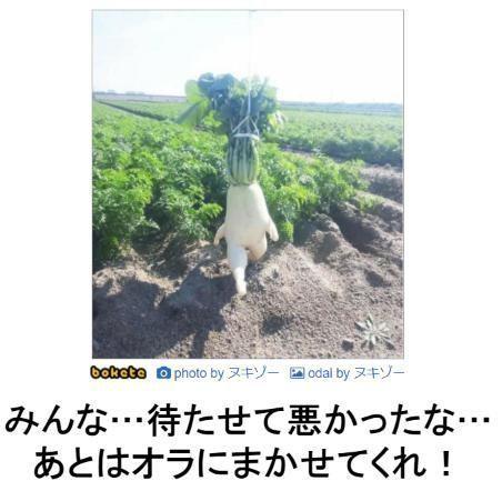 投稿の添付画像