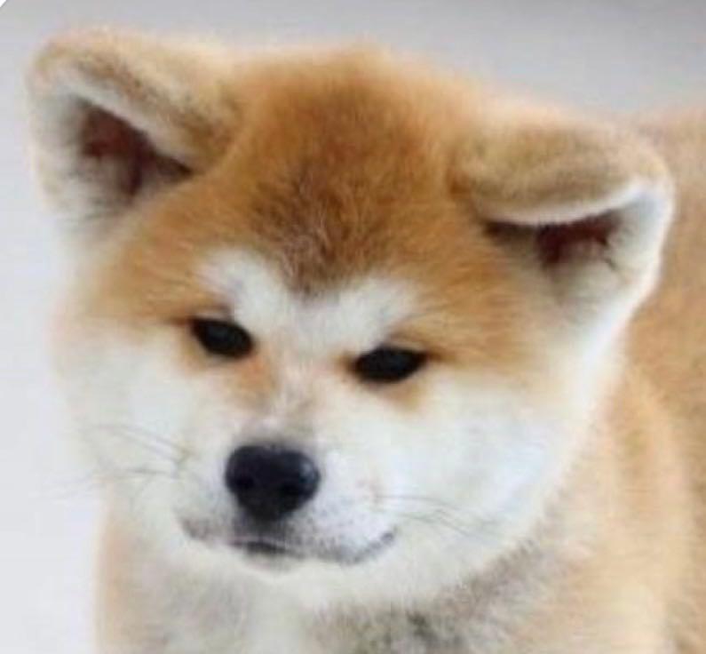 投稿の添付画像