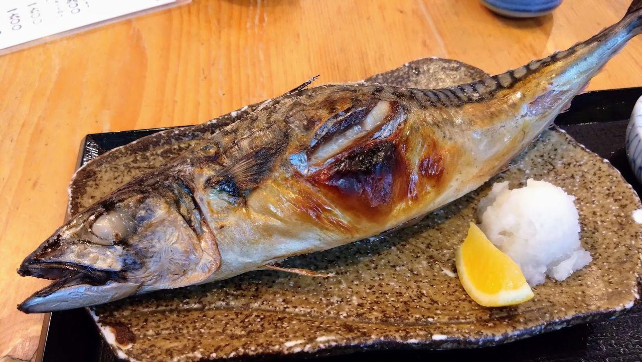 投稿の添付画像