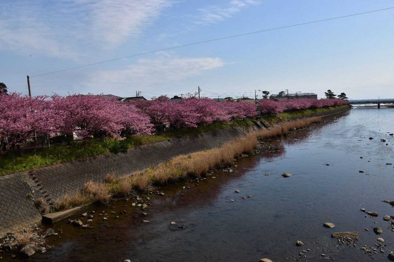 投稿の添付画像