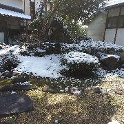 投稿の添付画像