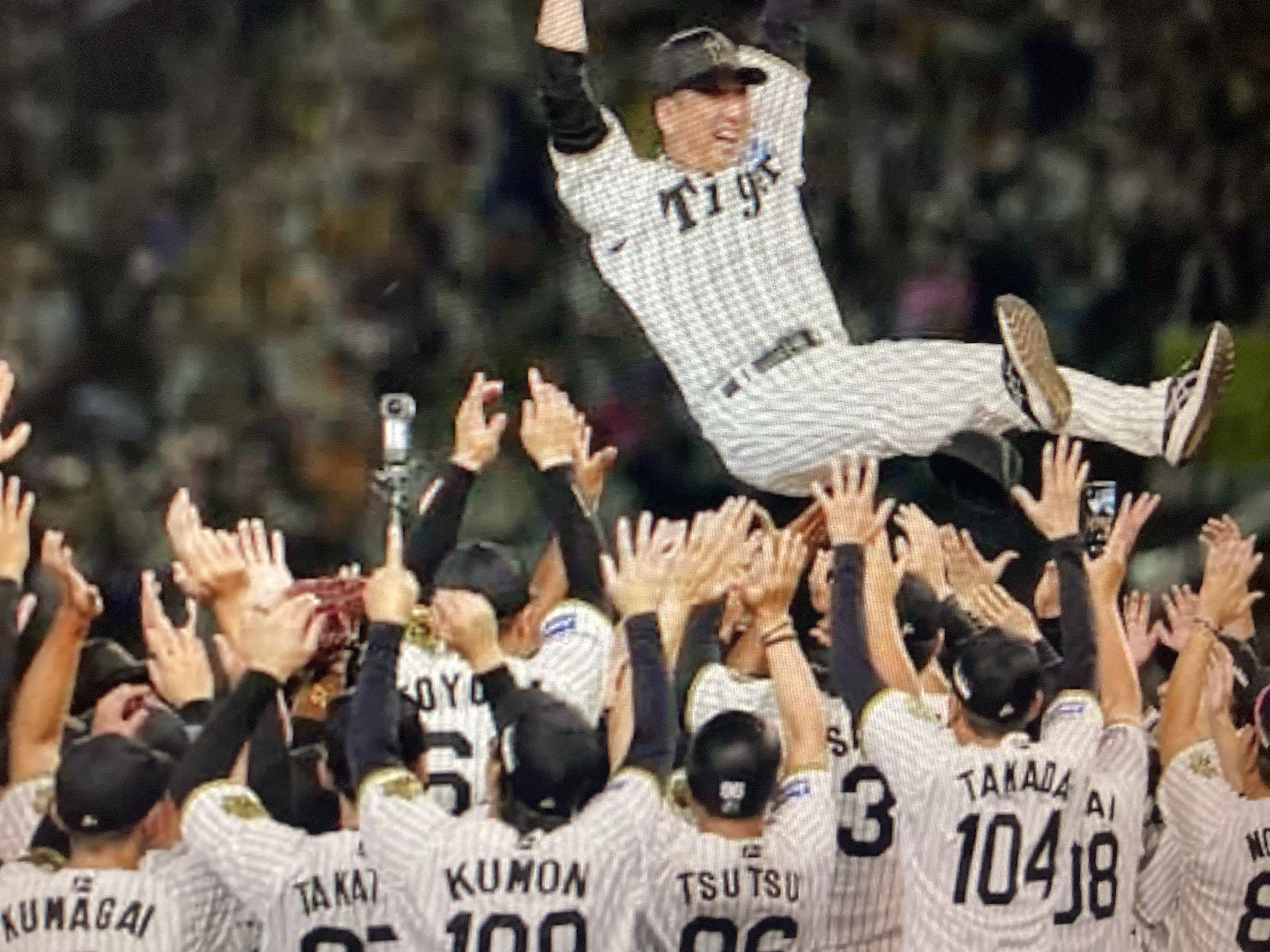 投稿の添付画像