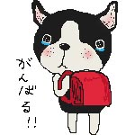 投稿の添付画像