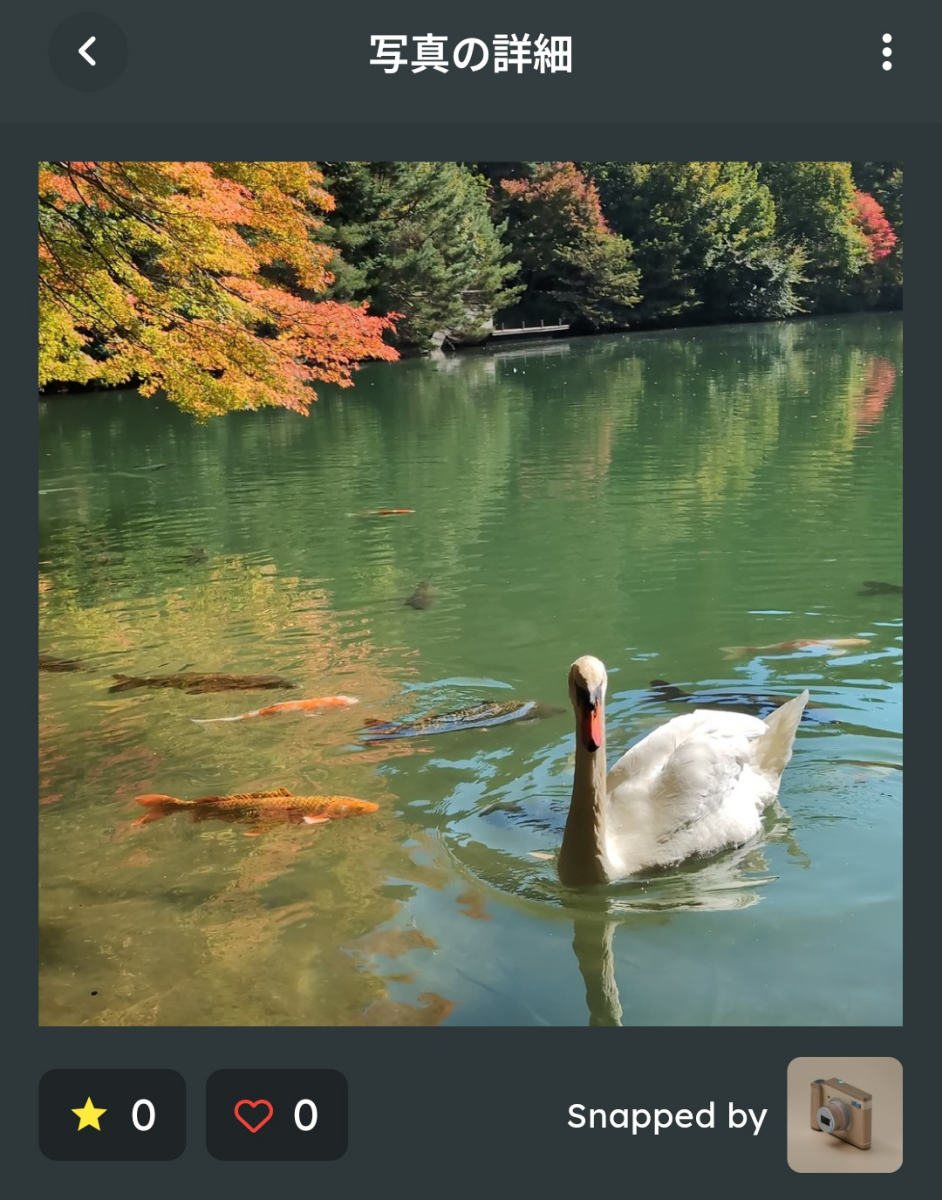 投稿の添付画像