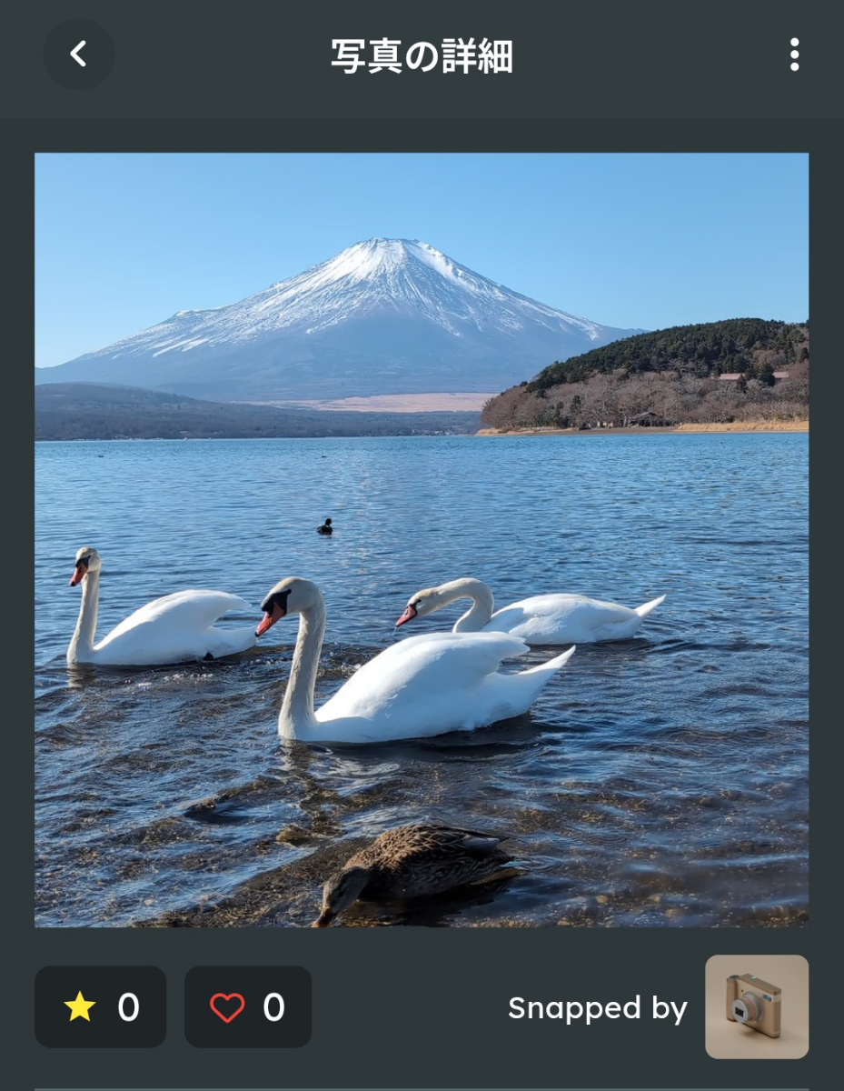 投稿の添付画像