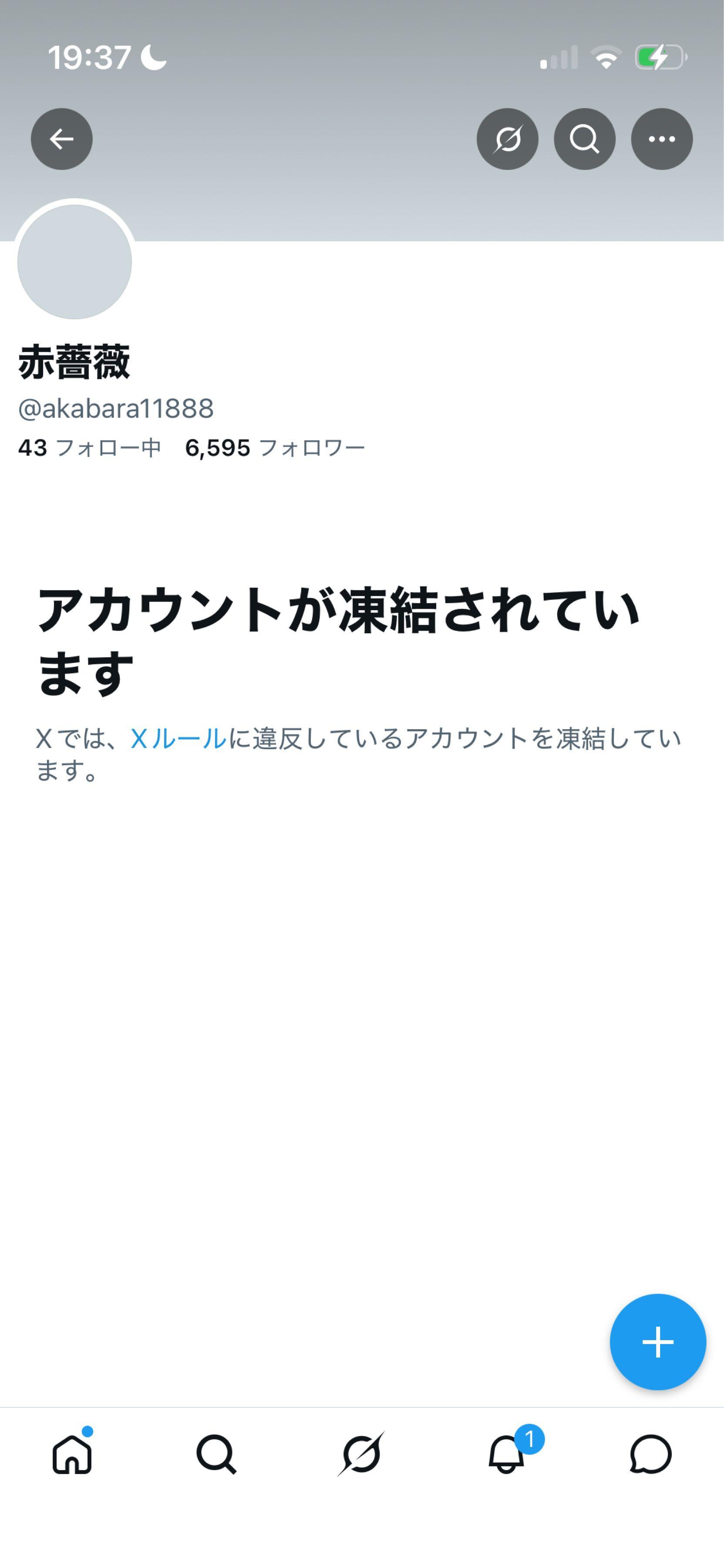 投稿の添付画像