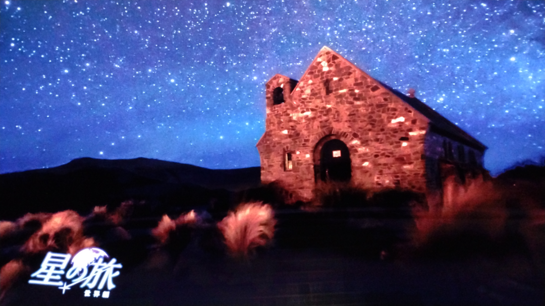 投稿の添付画像