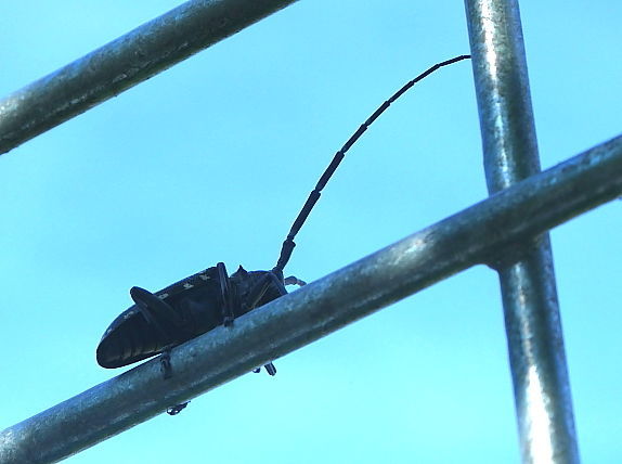 何が合併症のリスクを下げることができるのでしょうか?