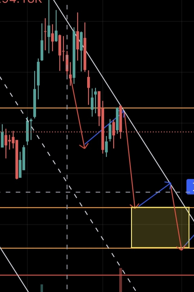 投稿の添付画像