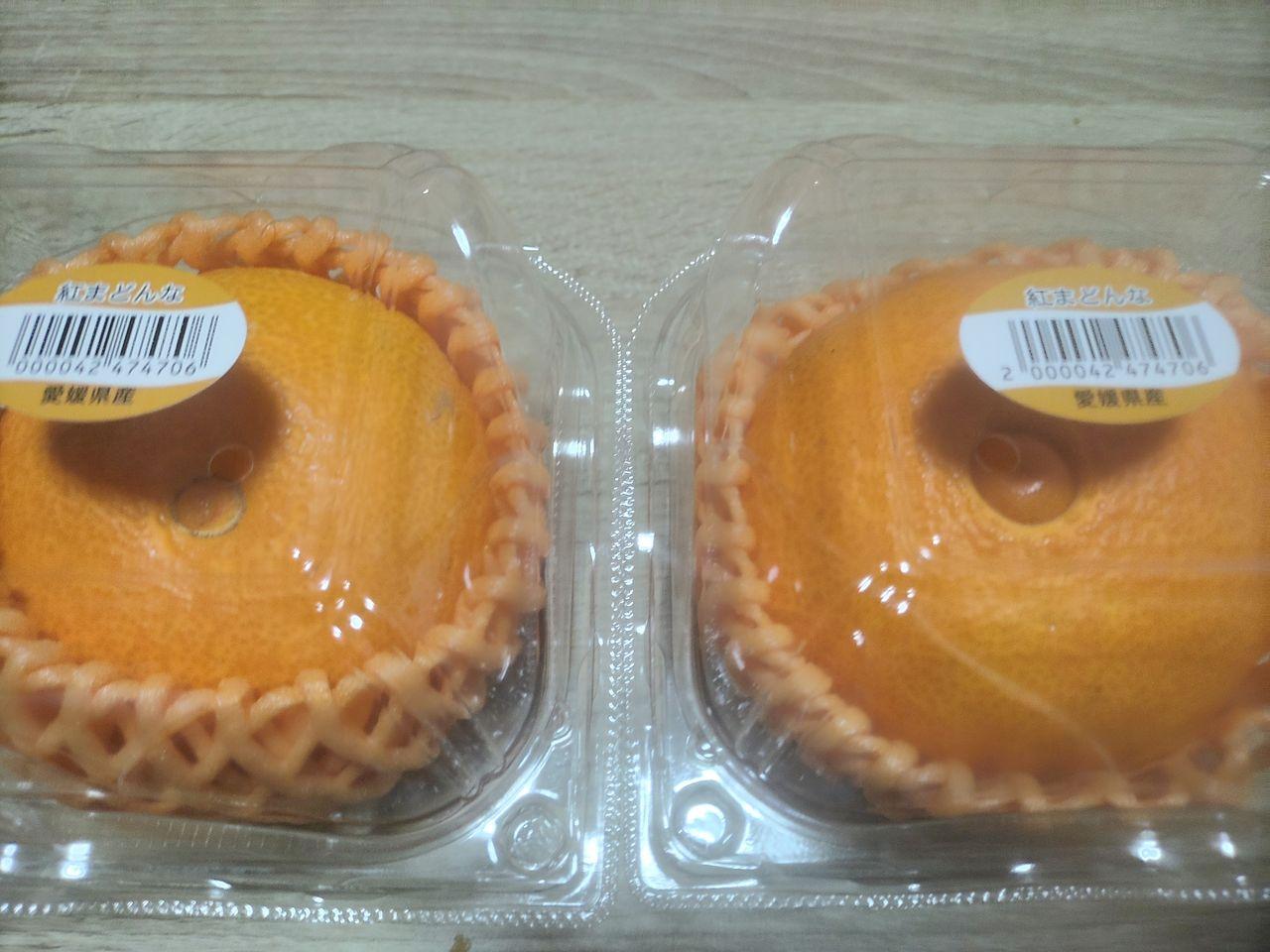 投稿の添付画像