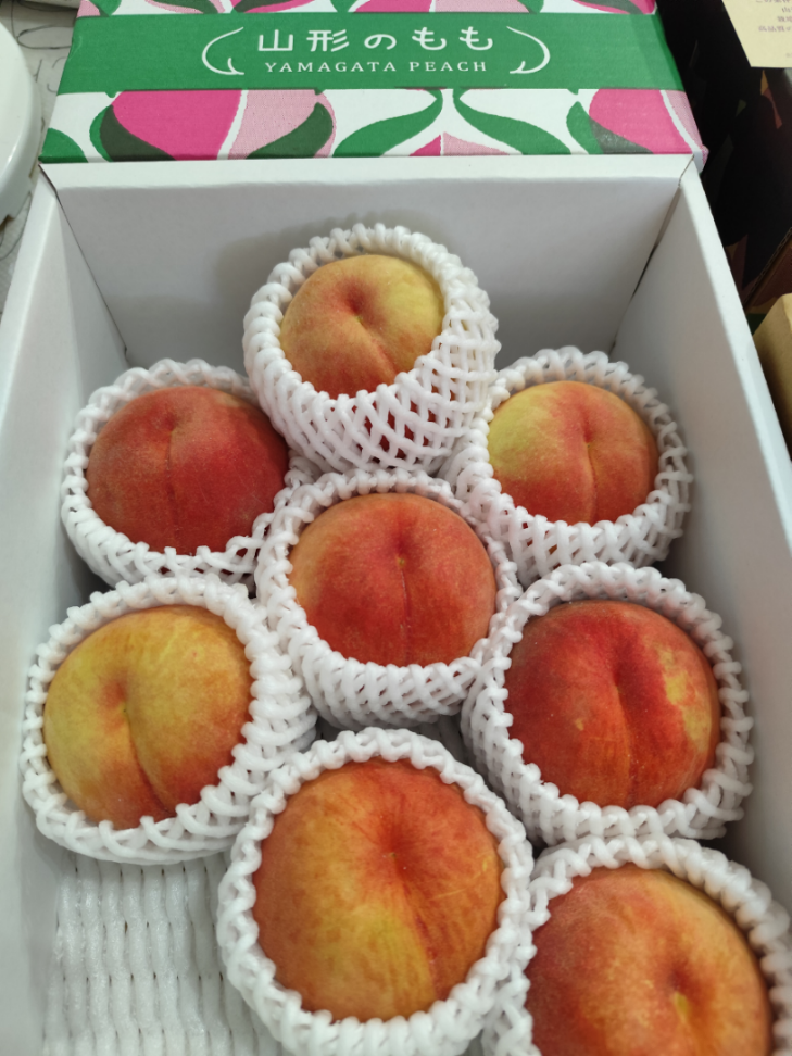 投稿の添付画像