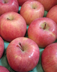 投稿の添付画像