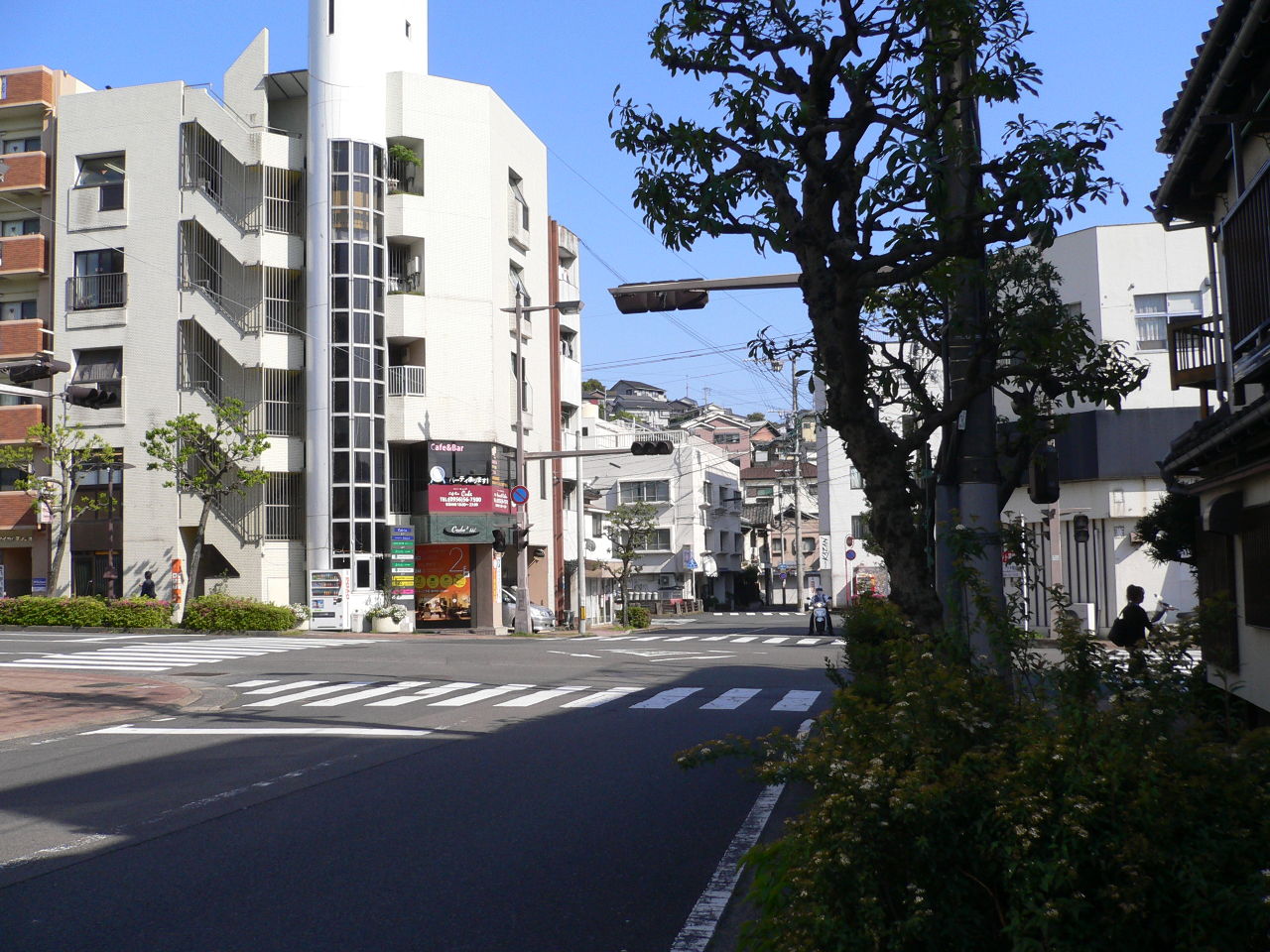 投稿の添付画像