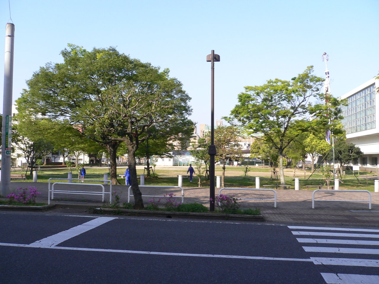 投稿の添付画像