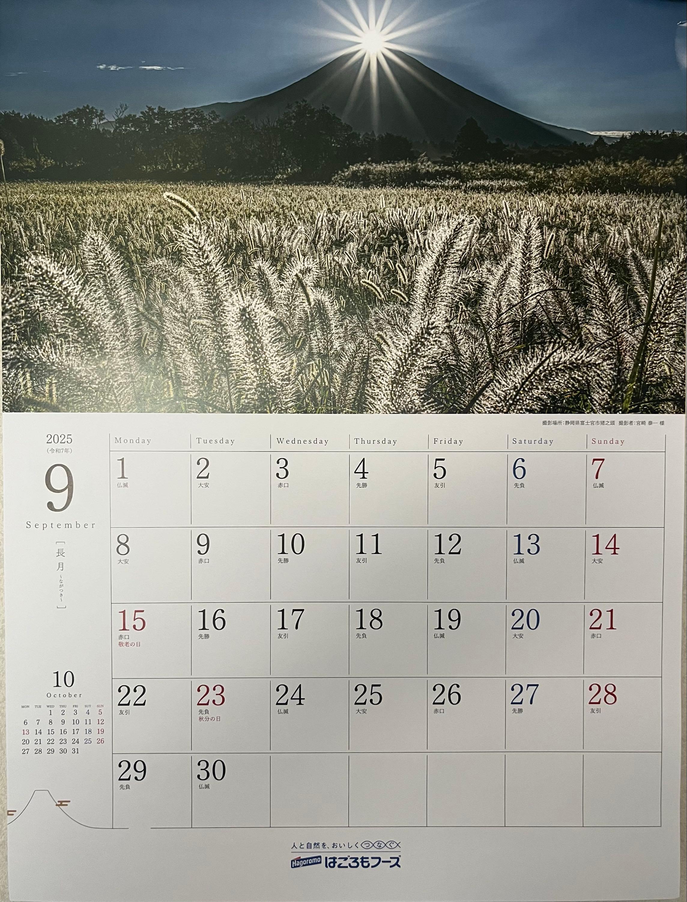 投稿の添付画像