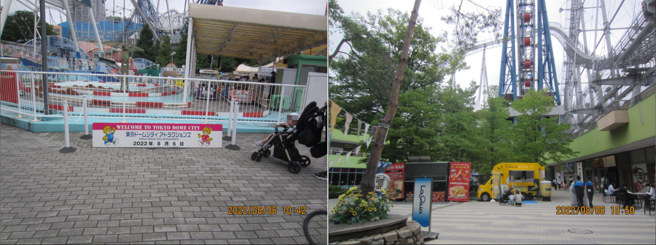 投稿の添付画像